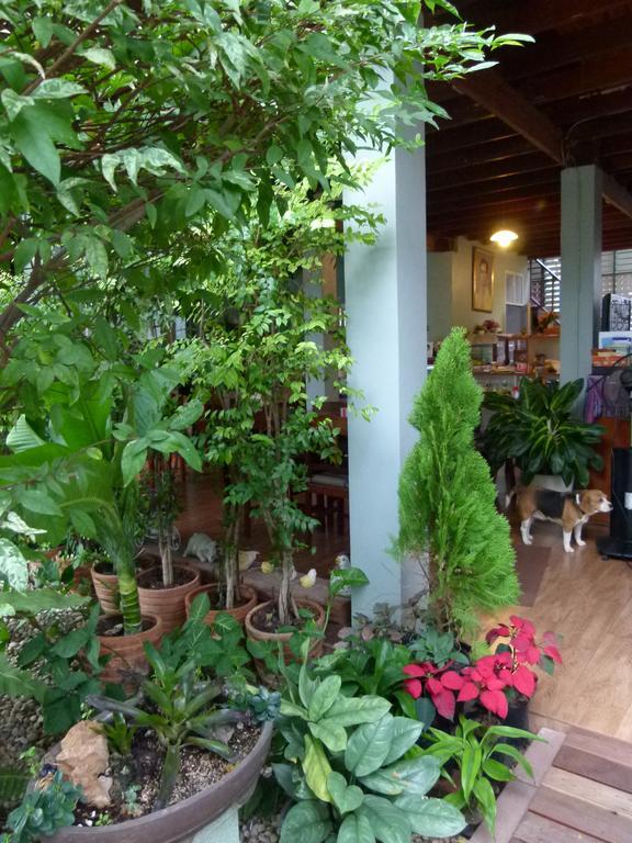 Ban Boonchu Bed and Breakfast Αγιουτάγια Εξωτερικό φωτογραφία